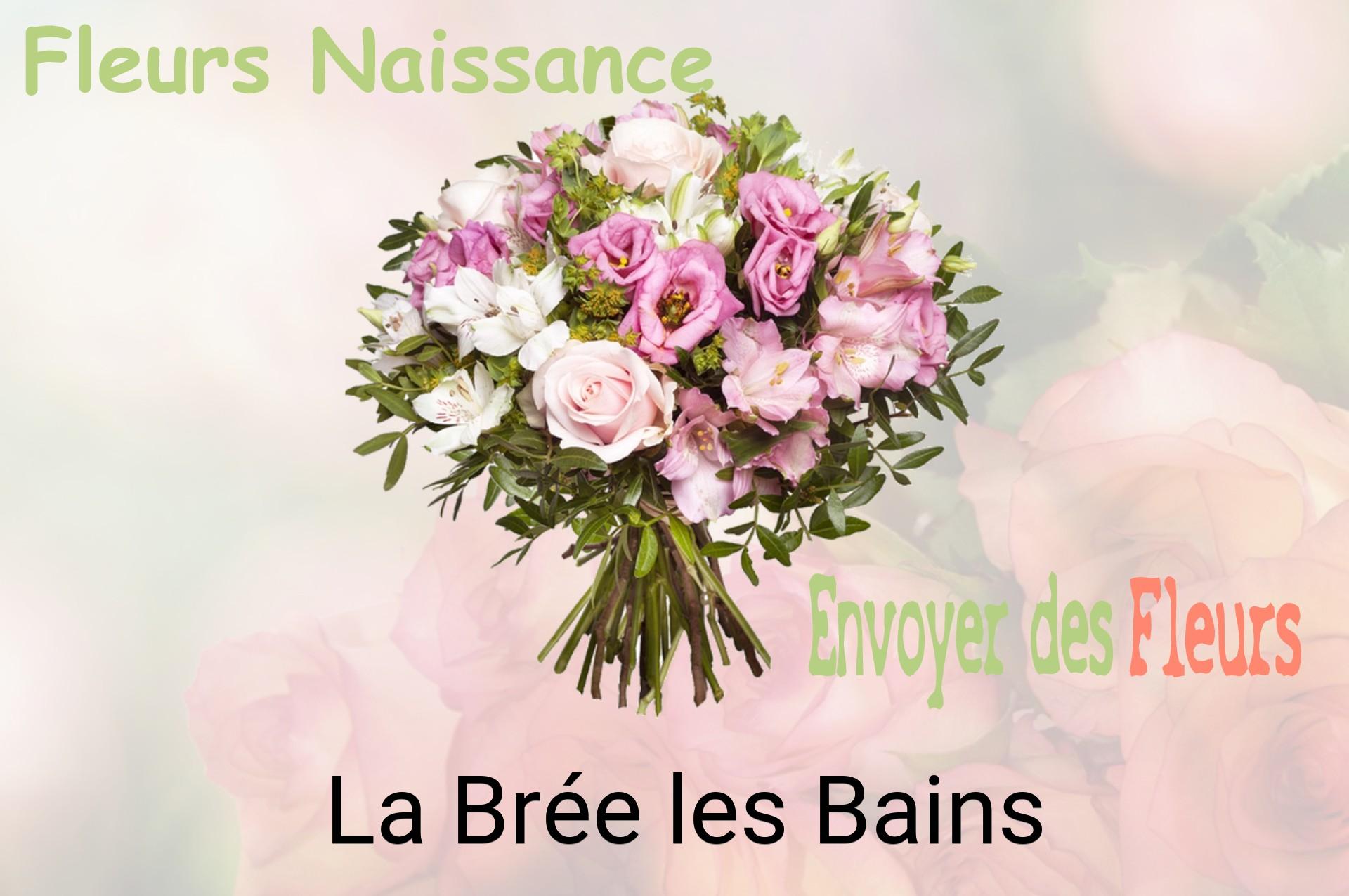 Bouquet de fleurs de naissance livré à La Brée-les-Bains